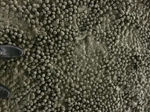 江西達人建材陶粒混凝土 江西達人建材陶粒混凝土