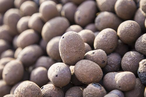 江西達人輕質陶粒 江西達人輕質陶粒